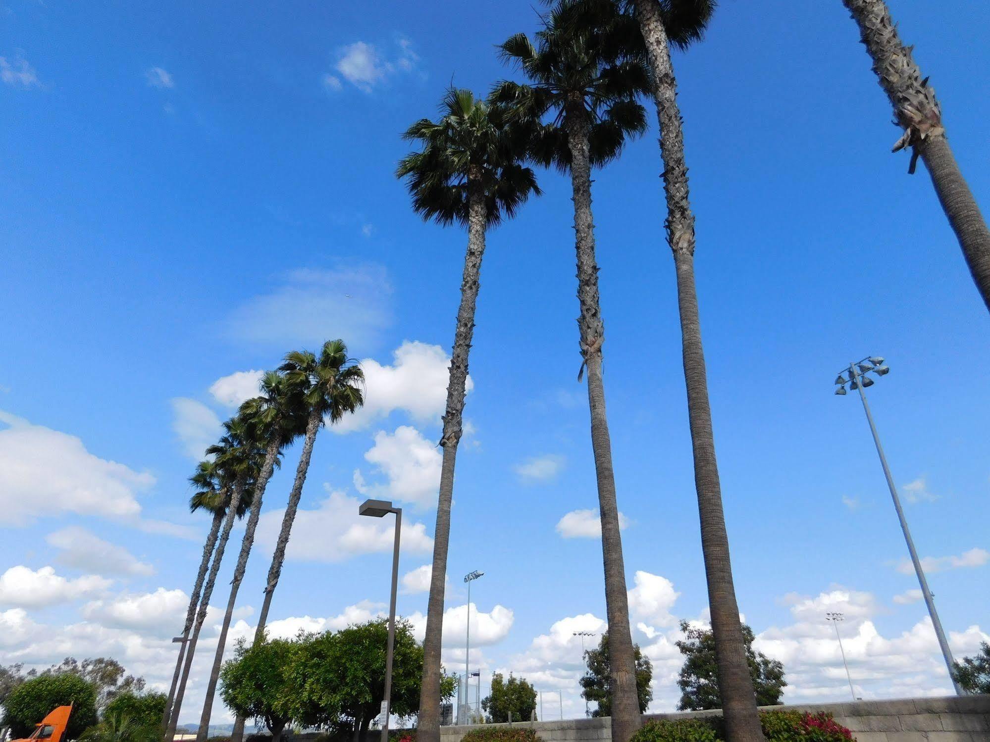 פלסנטיה Best Western Plus - Anaheim Orange County Hotel מראה חיצוני תמונה